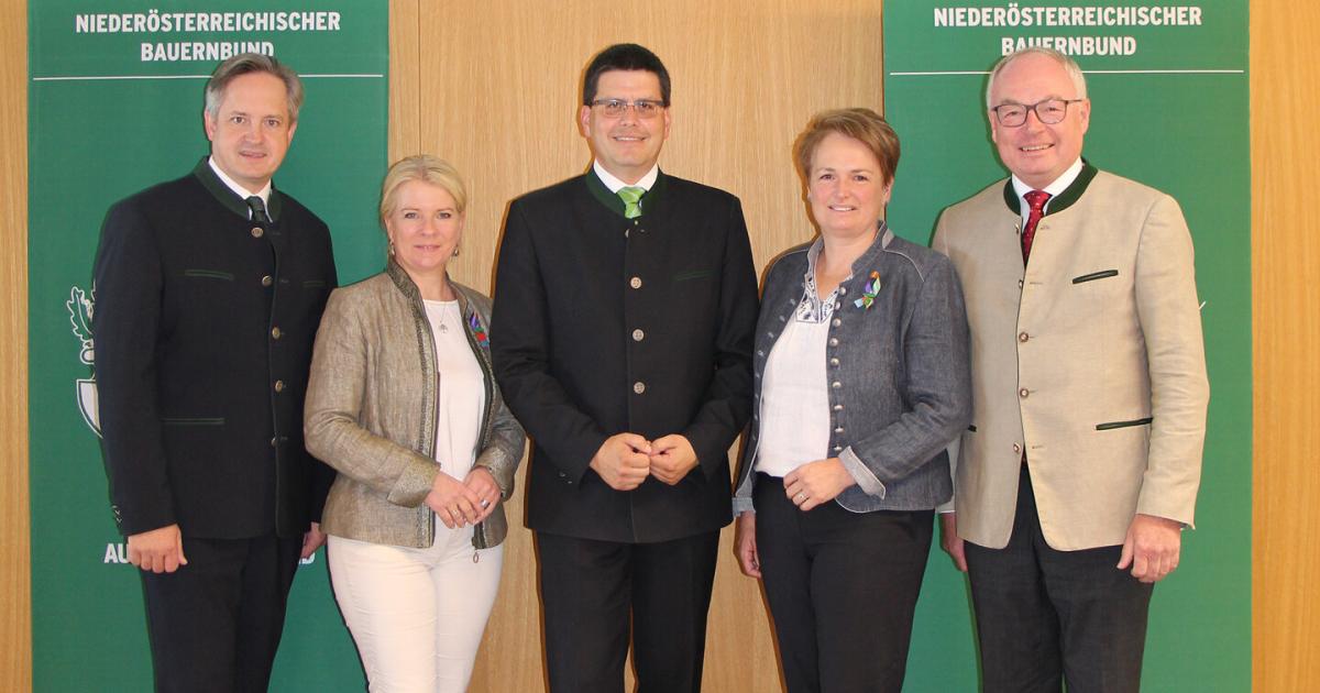 Schmuckenschlager-r-umt-Chefsessel-in-der-Landwirtschaft
