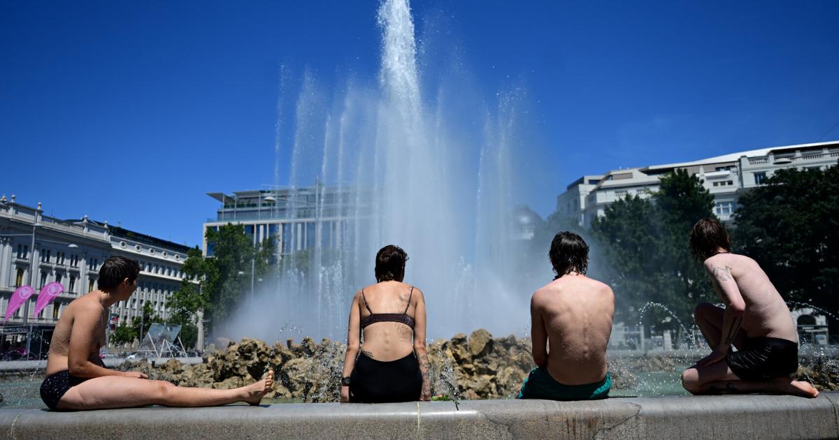 Hitze-Hitzetote-Klimaschutz-Was-Wien-jetzt-tun-muss
