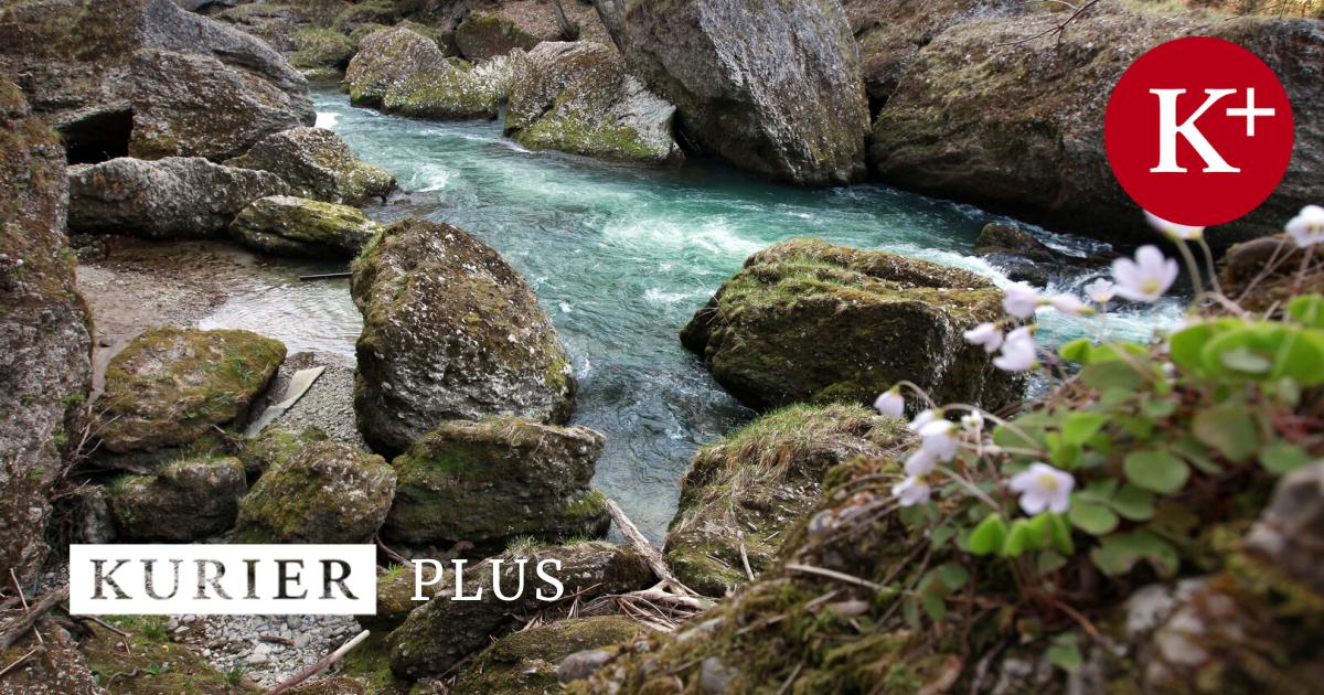 Ger-chte-um-Sprengungen-in-Erlaufschlucht-erhitzen-die-Gem-ter