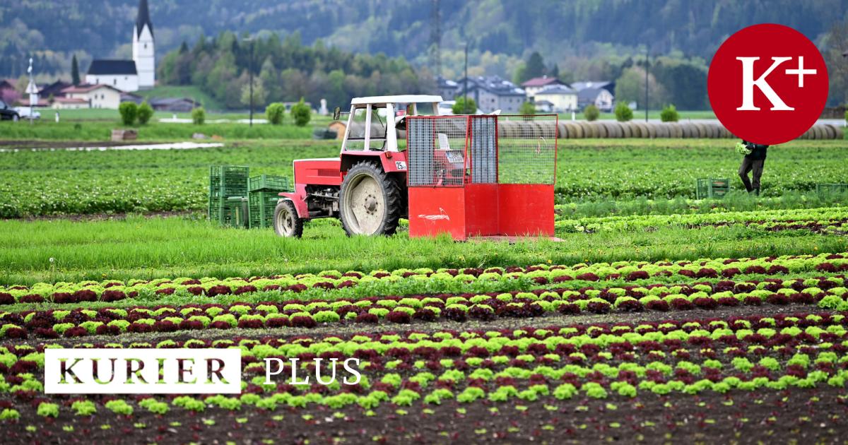 Was die neuen Ökoregeln für die Landwirtschaft bedeuten