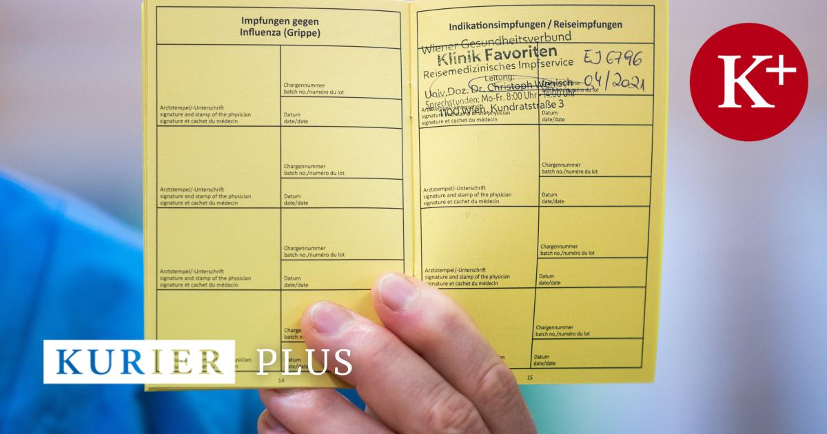 f-r-100-euro-in-24-stunden-zum-gef-lschten-impfpass-kurier-at