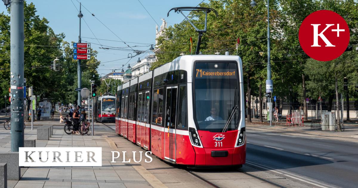 Nur-ffis-verteuern-w-re-falscher-Weg