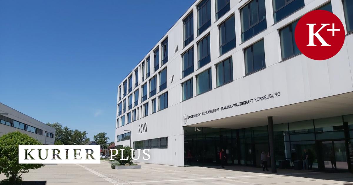 Eiernockerl-Posts-brachten-G-nserndorfer-FP-ler-vor-Gericht