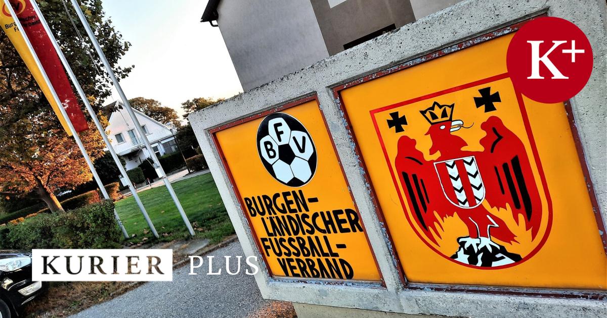 BFV-Pr-sident-Pangl-will-kandidieren-wenn-Vereine-das-wollen-