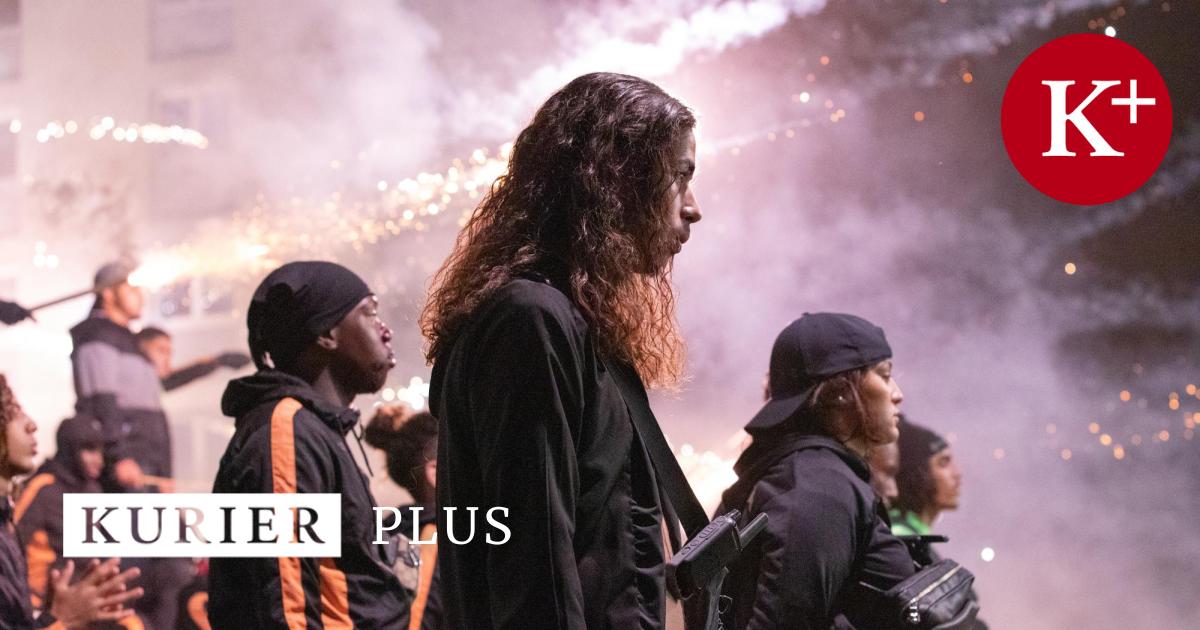 Thc Coach Müller Die Wahrheit Über Den Krawallmacher Im Ludwigsburg Chef Stil - w0ogvob