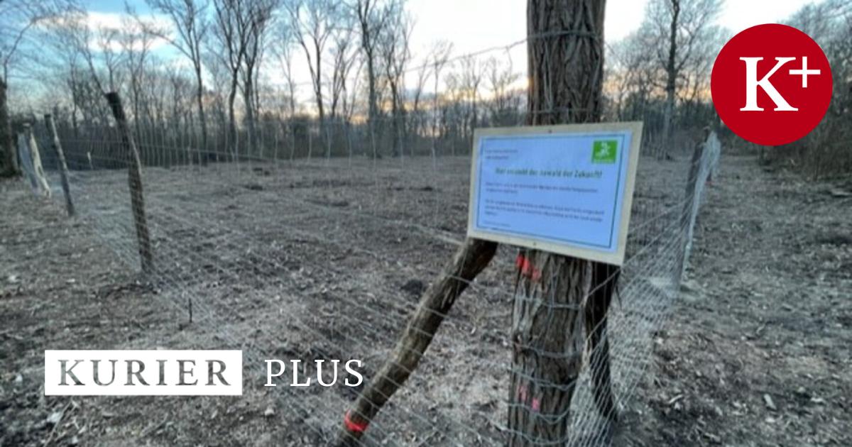 Au-Schl-gerungen-sind-nun-Fall-f-r-die-Staatsanwaltschaft