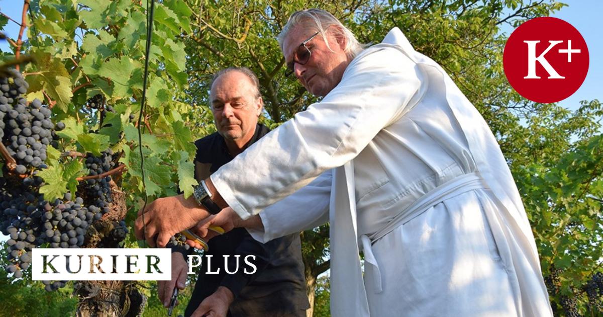 Esterházy, Haydn und der Wein der Klosterbrüder