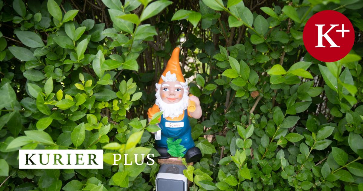 Warum-Ottakring-bei-Kleing-rten-so-teuer-ist