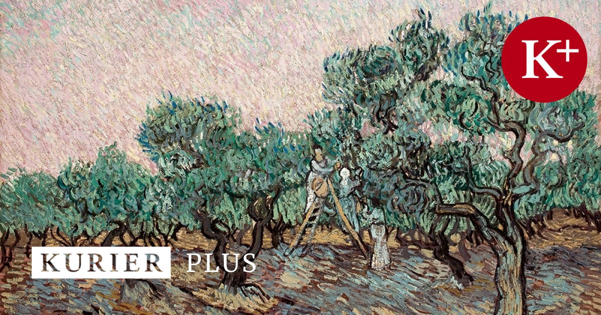 Metropolitan Museum wegen geraubtem Van Gogh-Gemälde geklagt