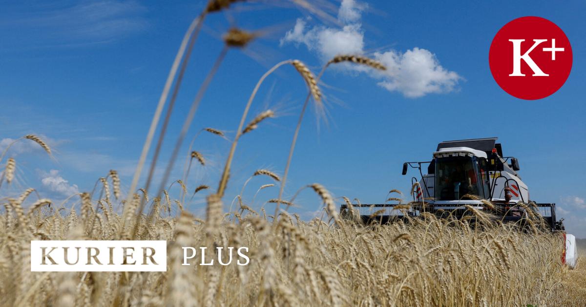EU Struggles with Agricultural Imports from Ukraine, a Major Superpower
