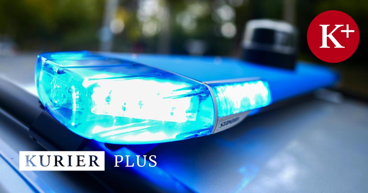 OGH-Urteil-bremst-viele-Einsatzfahrten-bei-Rot-ein