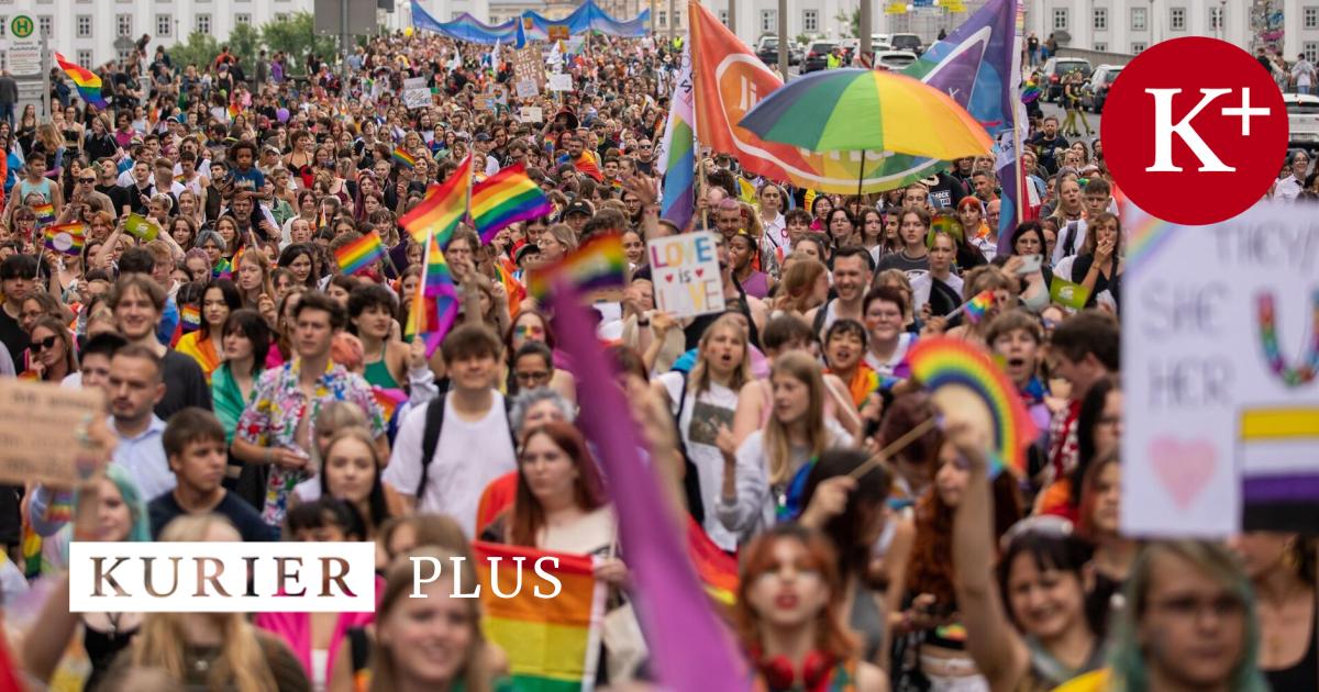 Hitlergru-bei-Linzpride-23-J-hriger-angezeigt