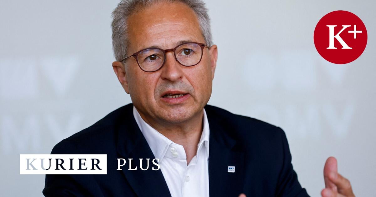 -Liebesgr-e-an-OMV-Chef-Alfred-Stern-aus-Bukarest