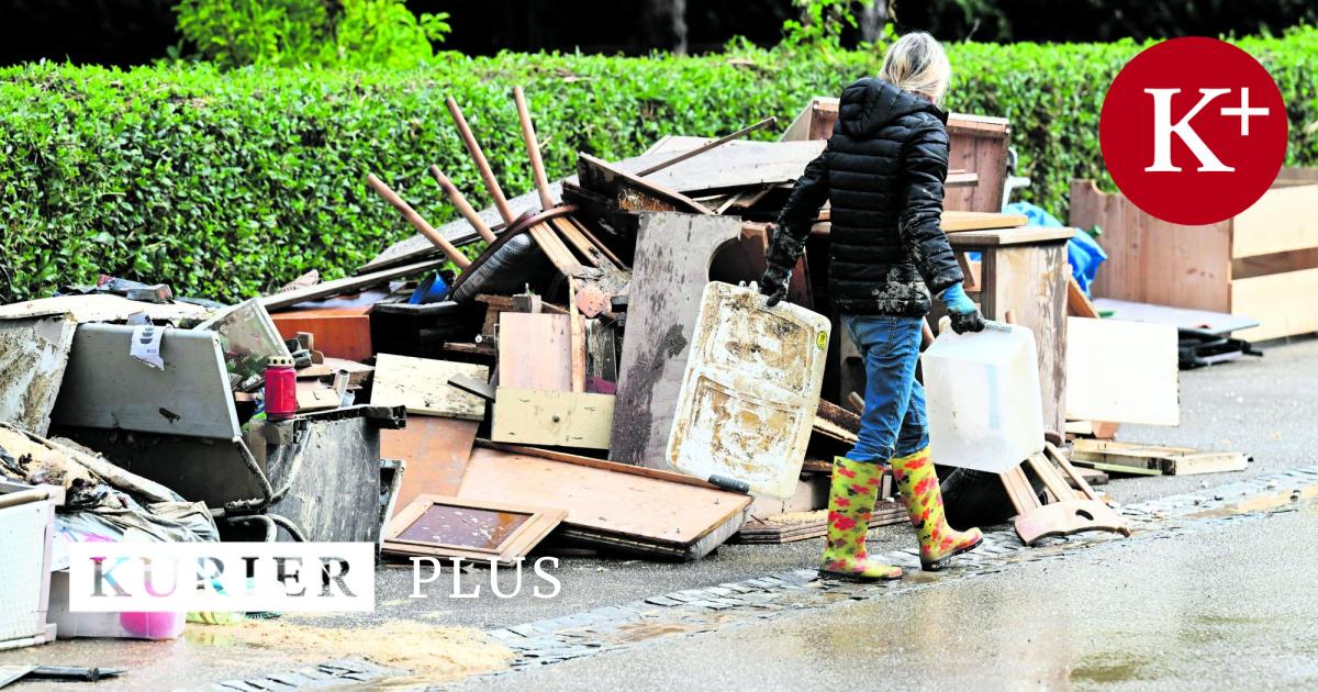 Disaster Fund: Experts for new insurance