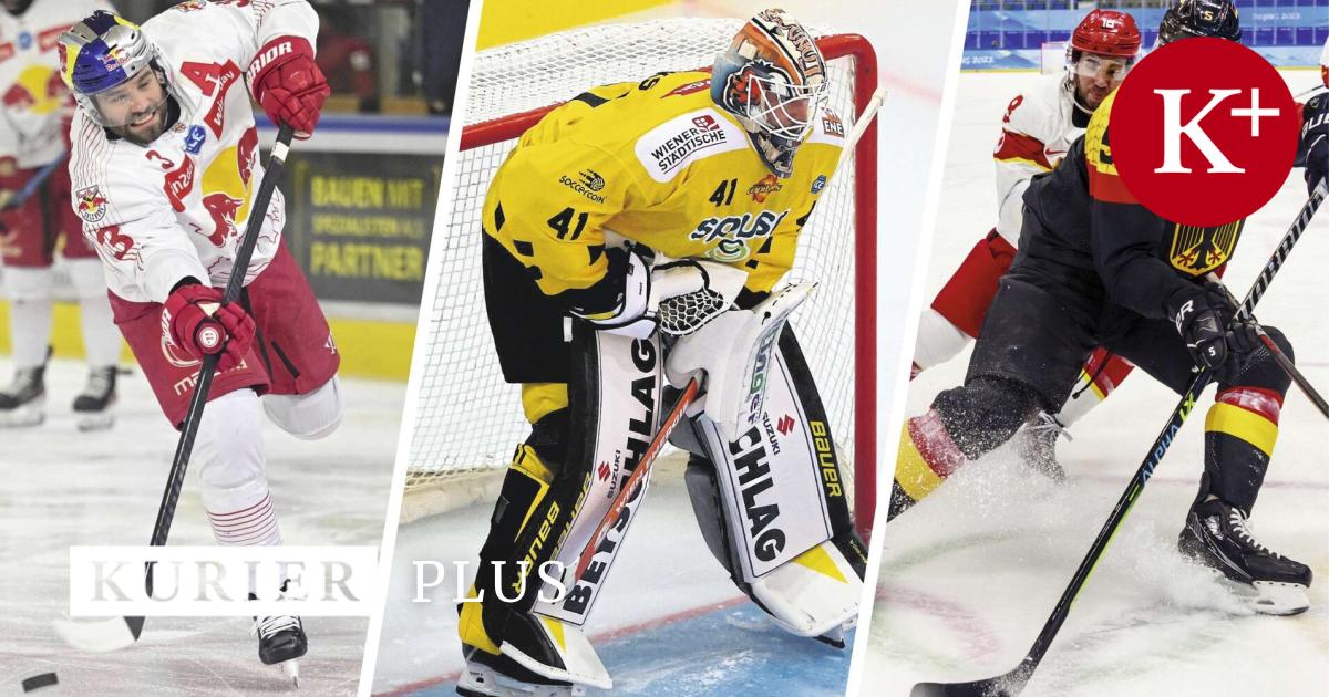 Schneider, Haudum, Holzer or Parks: The stars of the ice hockey league