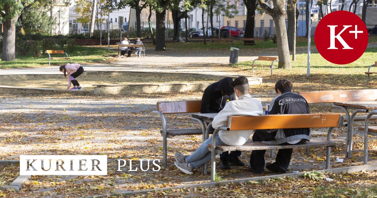 jugendbanden-in-wien-als-problem-wenn-teenager-straff-llig-bleiben