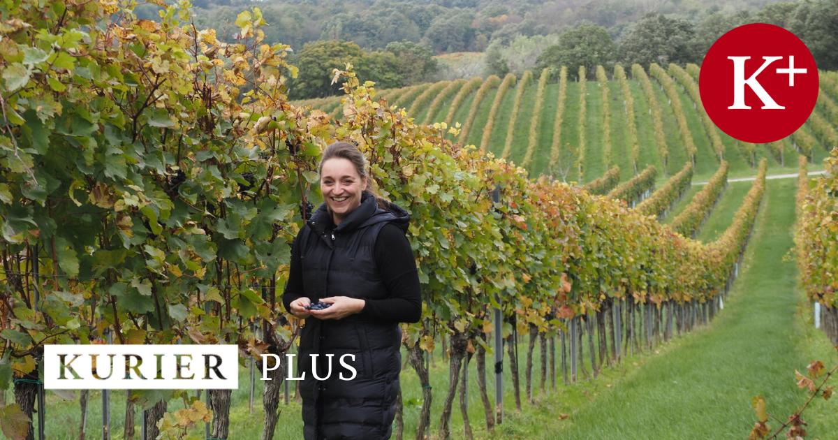 Es-wird-ein-Wein-sein-und-er-wird-bio-sein