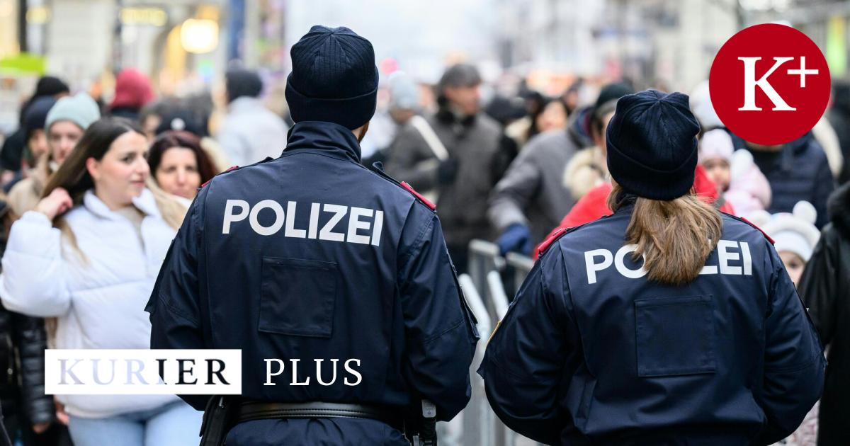 wiener-polizist-macht-im-schnitt-49-berstunden-pro-monat