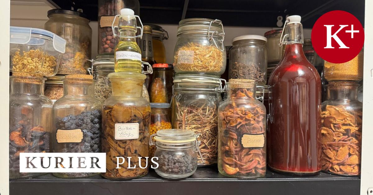 rinden-wo-die-vergessene-medizin-geh-tet-wird