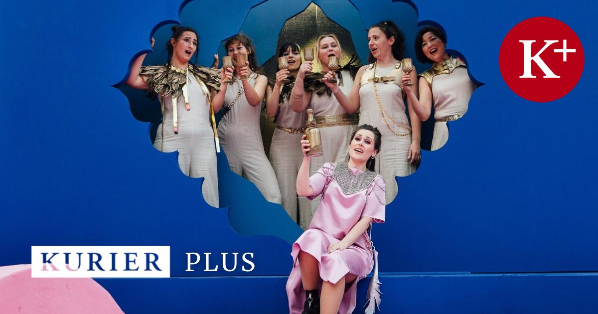 Strauss-in-23-Wiener-Bezirken-Operette-ist-f-r-alle-da-