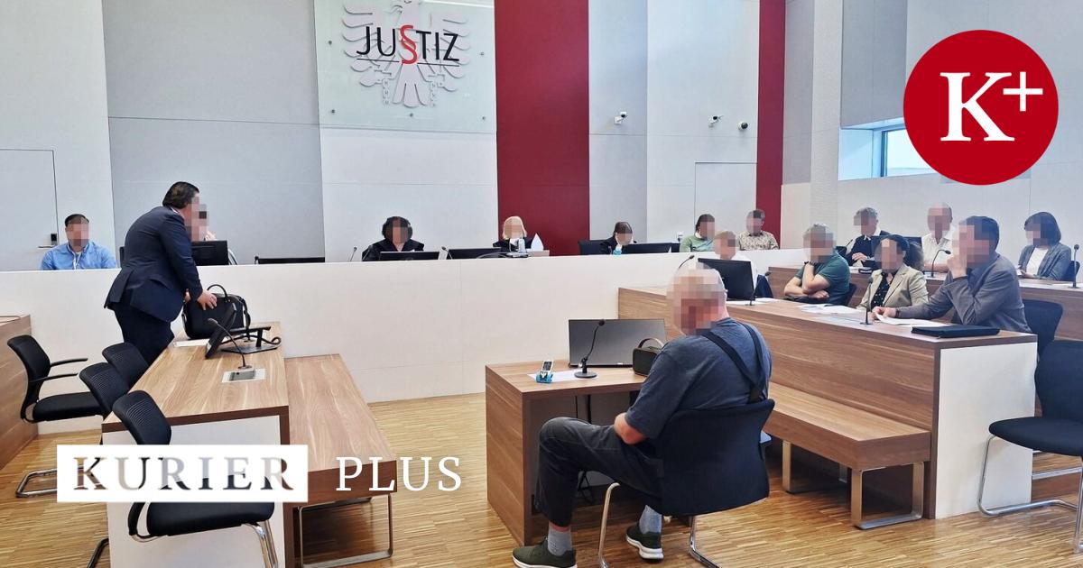Landesgericht-Bedingte-Haft-und-3-000-Euro-Strafe-f-r-zwei-Postings