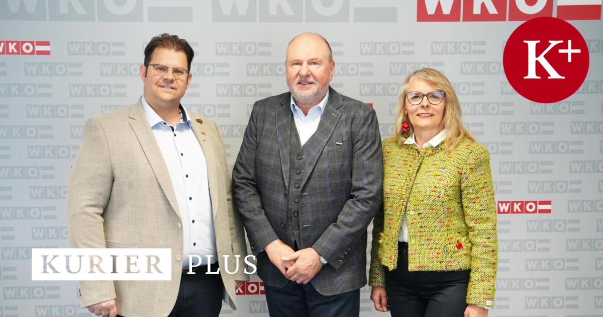 Wechsel-an-der-Spitze-Anton-Putz-bernimmt-Sparte-Gewerbe-und-Handwerk