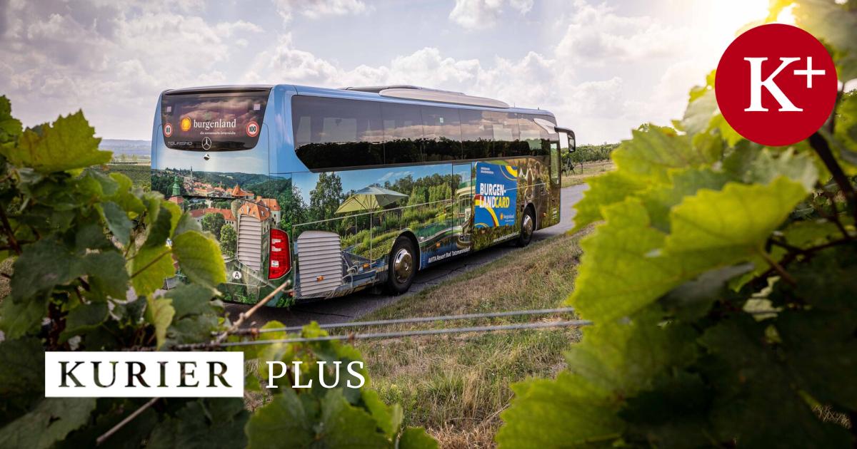 Mit-neuen-Daten-zu-besseren-Verbindungen-im-ffentlichen-Verkehr