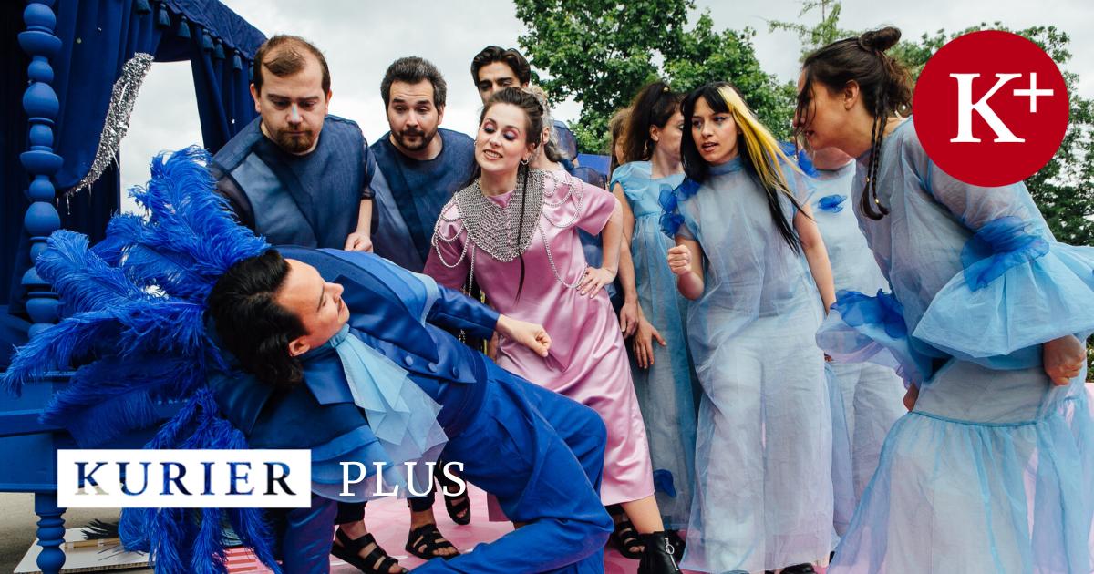 -Indigo-und-die-23-R-uber-innen-in-23-Bezirken-Wiens-Strauss-Ali-Baba-und-ein-Esel
