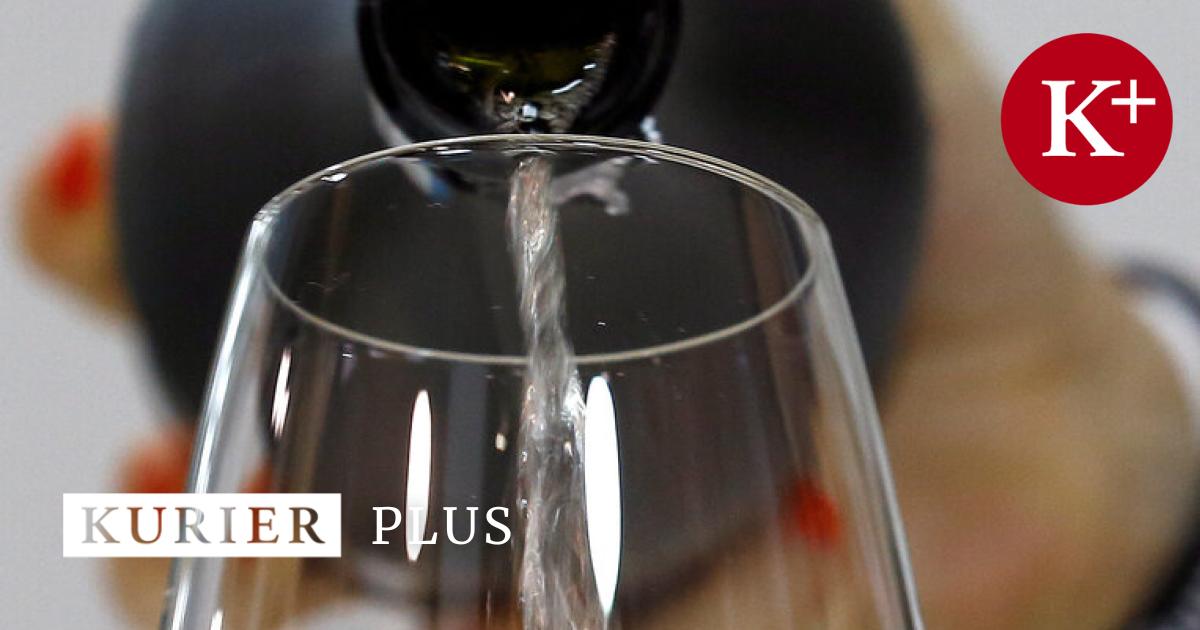 Prosecco-aus-Polen-Das-trinke-ich-nicht-ich-bin-Weinh-ndler-