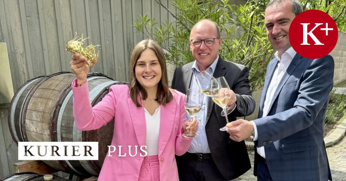 Weink-nigin-gesucht-charismatisch-weinaffin-jung