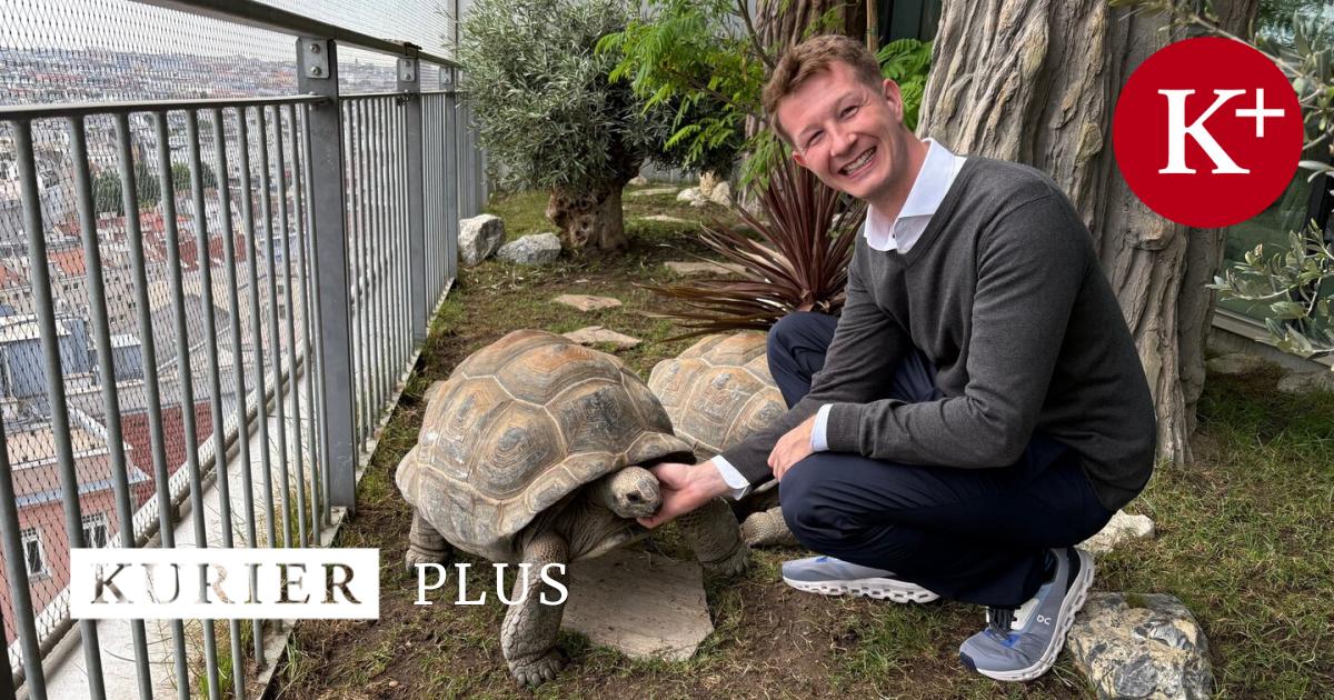 Direktor-des-Haus-des-Meeres-Sehe-mich-selbst-als-Zooskeptiker-