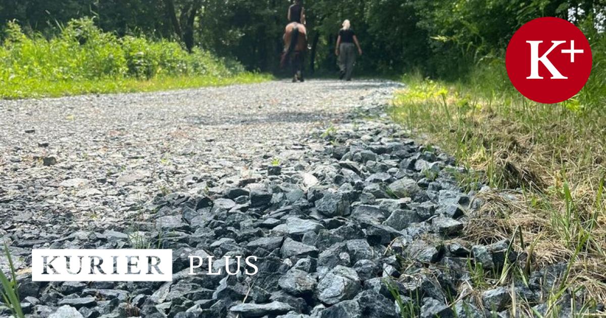 Schotter-im-Gr-nen-Kritik-am-Wegebau-in-Obersch-tzen