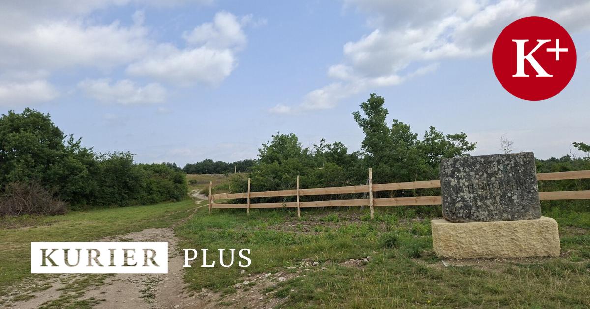 Weidezaun-von-Esterhazy-regt-auf-Ginge-billiger-und-dezenter-