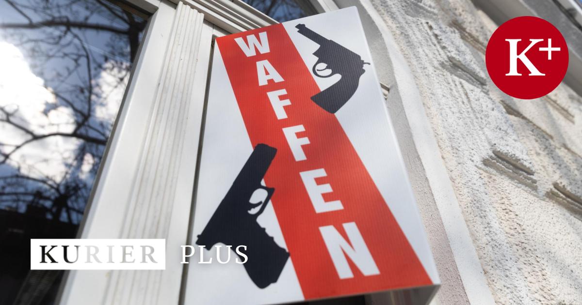 Waffenrechtsexperte-sterreichs-Datenschutz-ist-t-dlich-