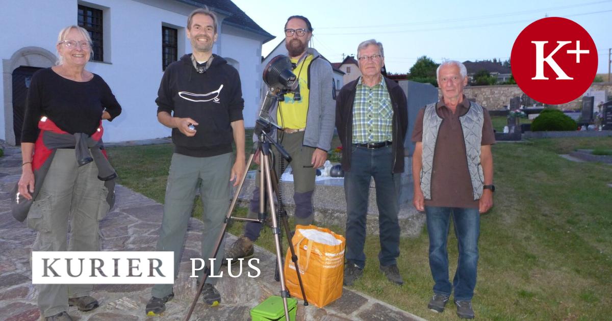Flederm-use-in-der-Kirche-Z-hlung-bringt-stabile-Zahlen