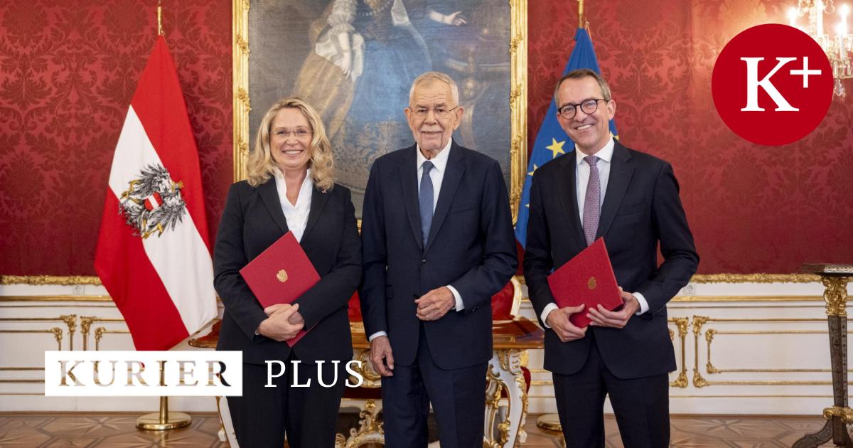 VwGH-Wer-sind-die-beiden-Neuen-an-der-Spitze-des-H-chstgerichts-