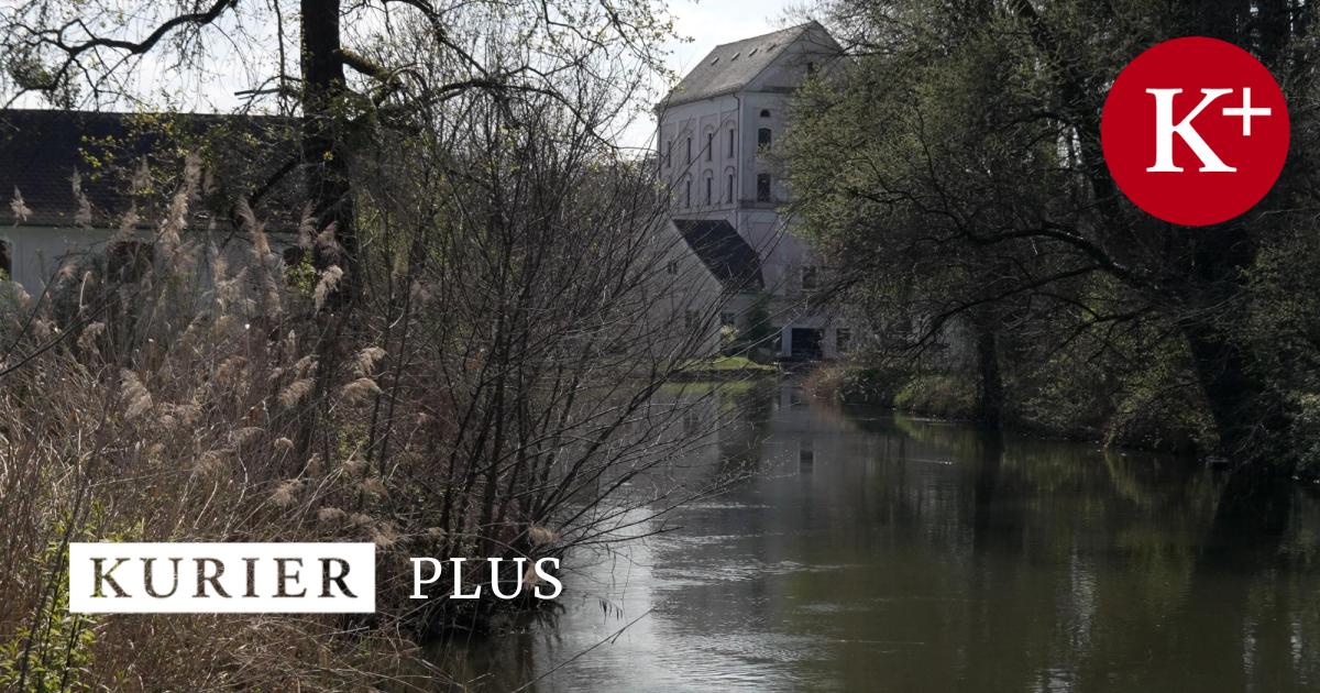 Papa-ist-weg-Das-r-tselhafte-Verschwinden-des-Elmar-Schneider