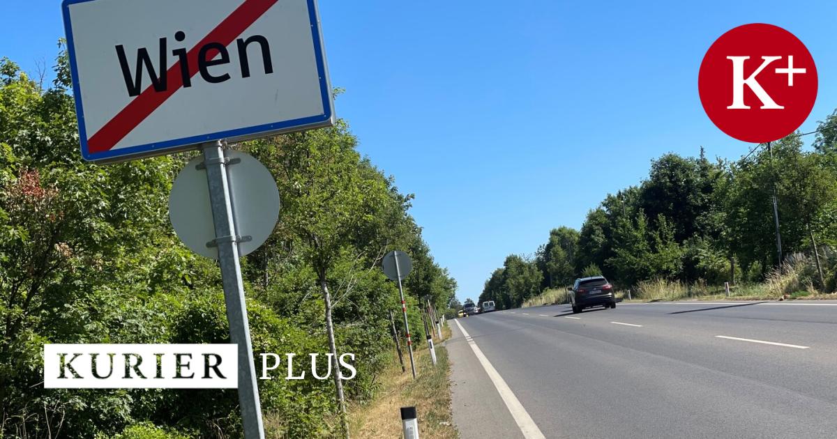 Zu-Besuch-in-Stammersdorf-Ein-Rendezvous-mit-dem-Ende-von-Wien