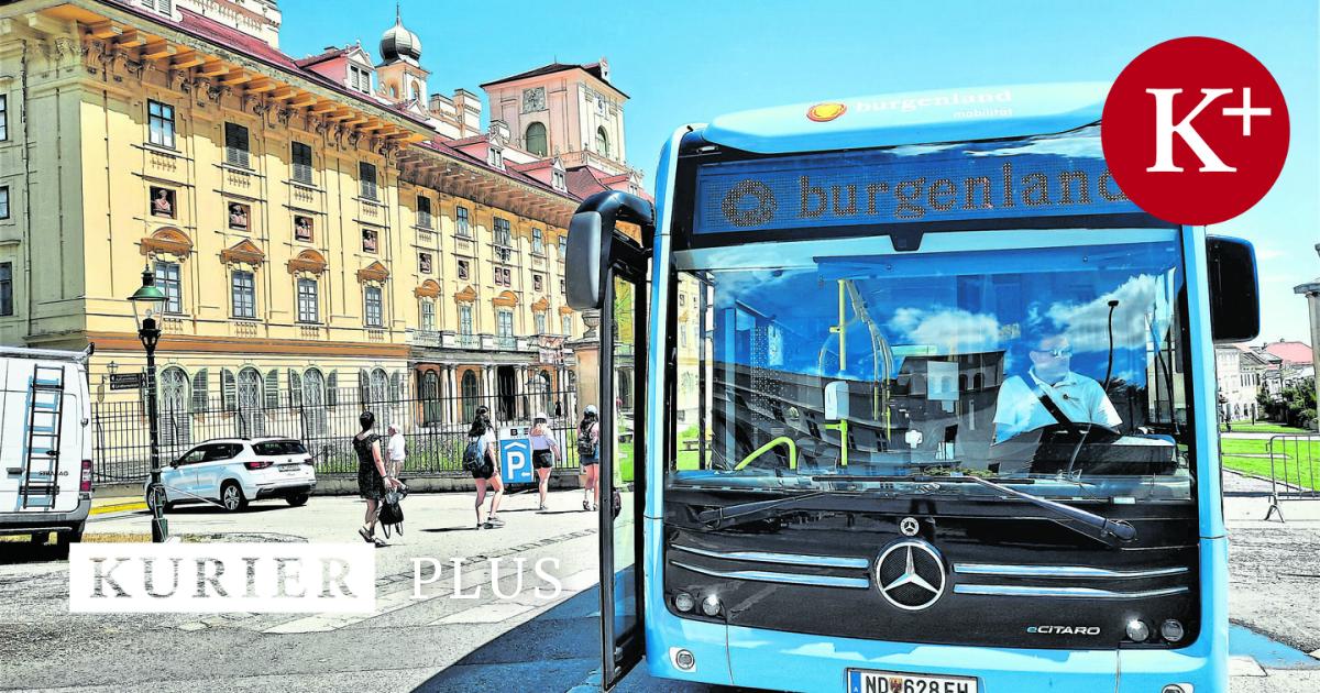 ex-polizist-steuert-den-burgenland-bus-auf-konfrontationskurs