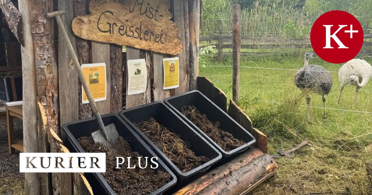 So-wird-Mist-zum-Lifestyle-Erste-Misstgreislerei-im-Burgenland