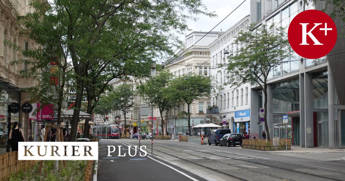 Wo-sich-kleine-Gesch-fte-in-Wien-einen-Konzern-als-Nachbarn-w-nschen
