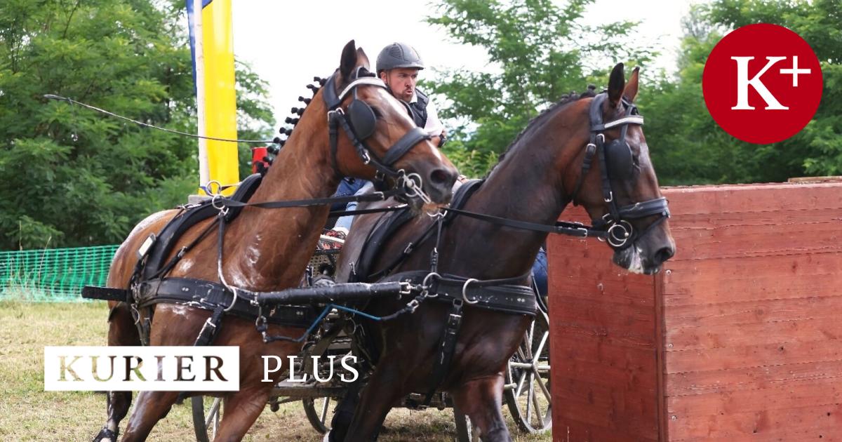 Beeindruckende-Burgenl-nder-Dominanz-am-Boden-Erfolg-in-der-Luft