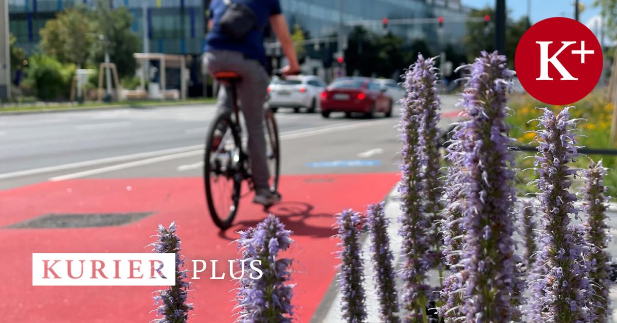 Kagran-bis-Karlsplatz-Eine-Wiener-Rad-Route-zu-Ehren-von-Otto-Wagner