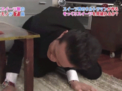 Die spinnen, die Japaner!