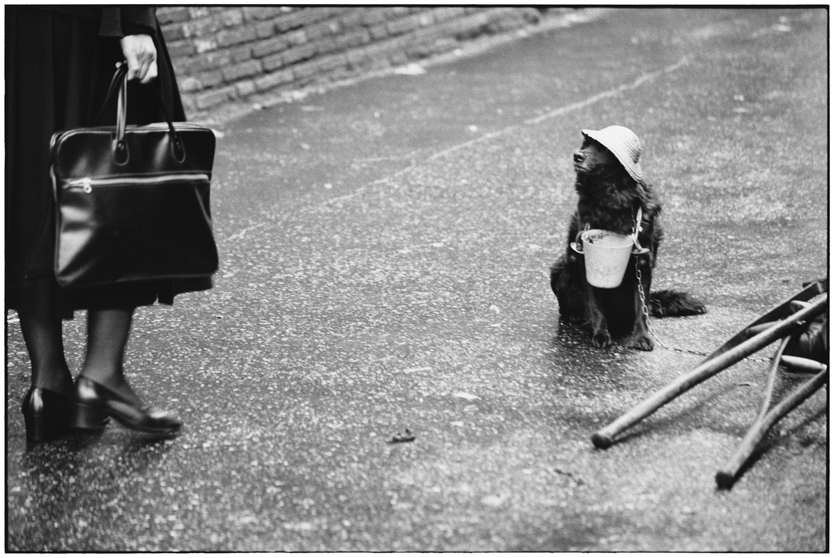 Bilder von Elliott Erwitt