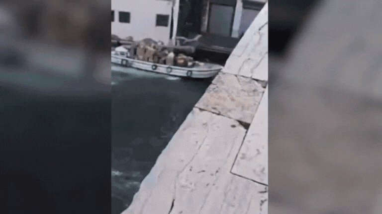 Frau kracht mit Boot in Rialto-Brücke