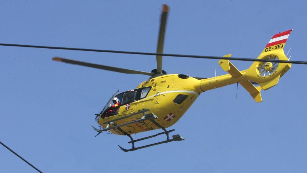 V Tirolski pes ugriznil štiriletno deklico v obraz