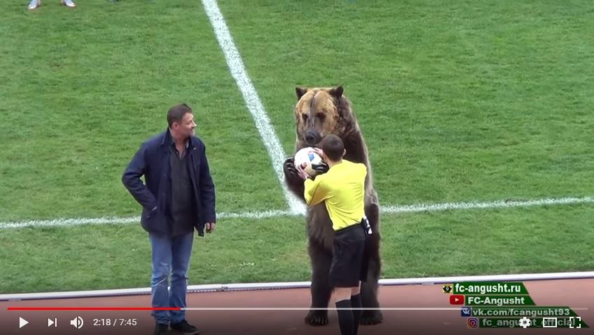 Empörung über Zirkusbären bei Fußballspiel in Russland 