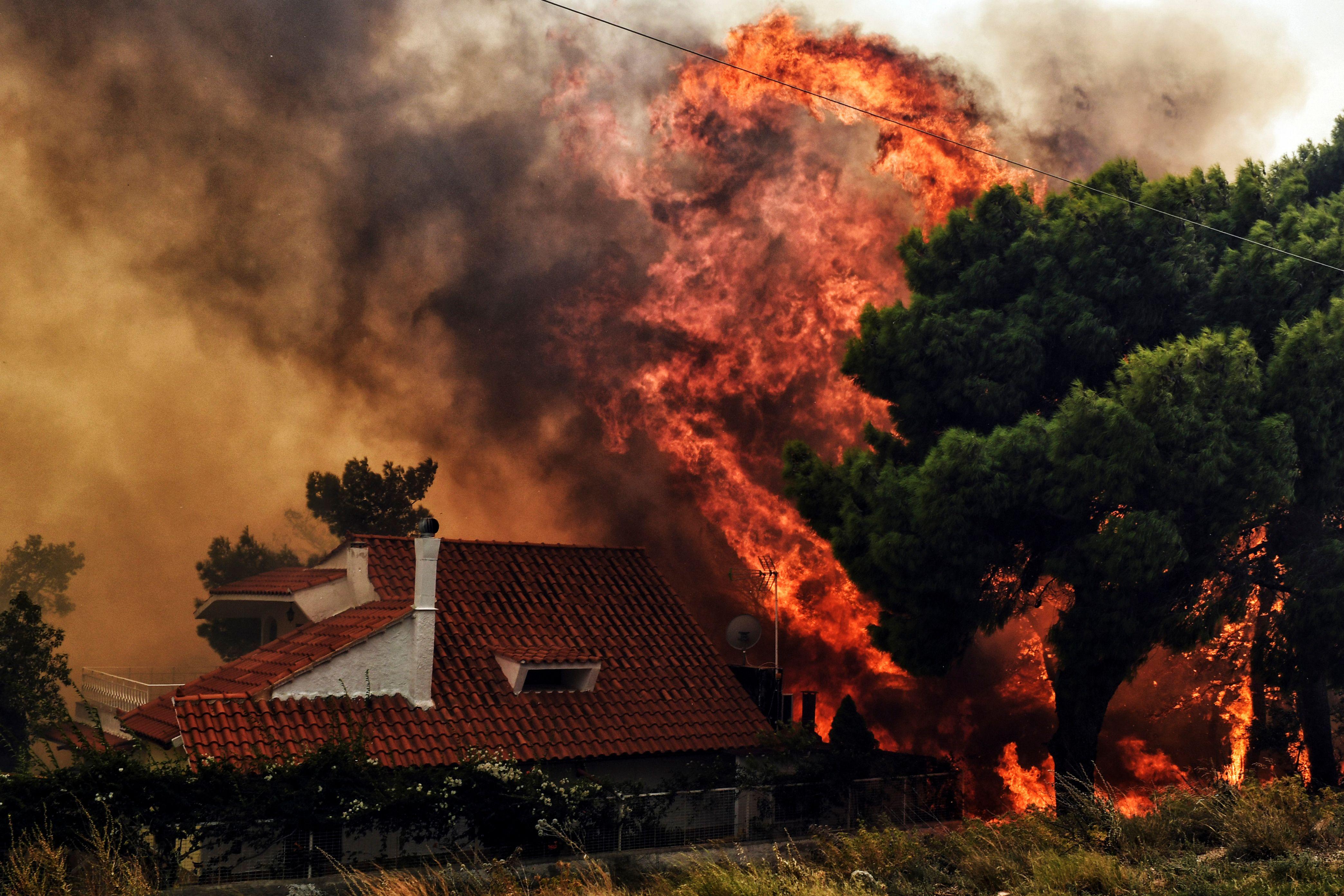 Waldbrände in Griechenland außer Kontrolle: Mindestens 50 Todesopfer