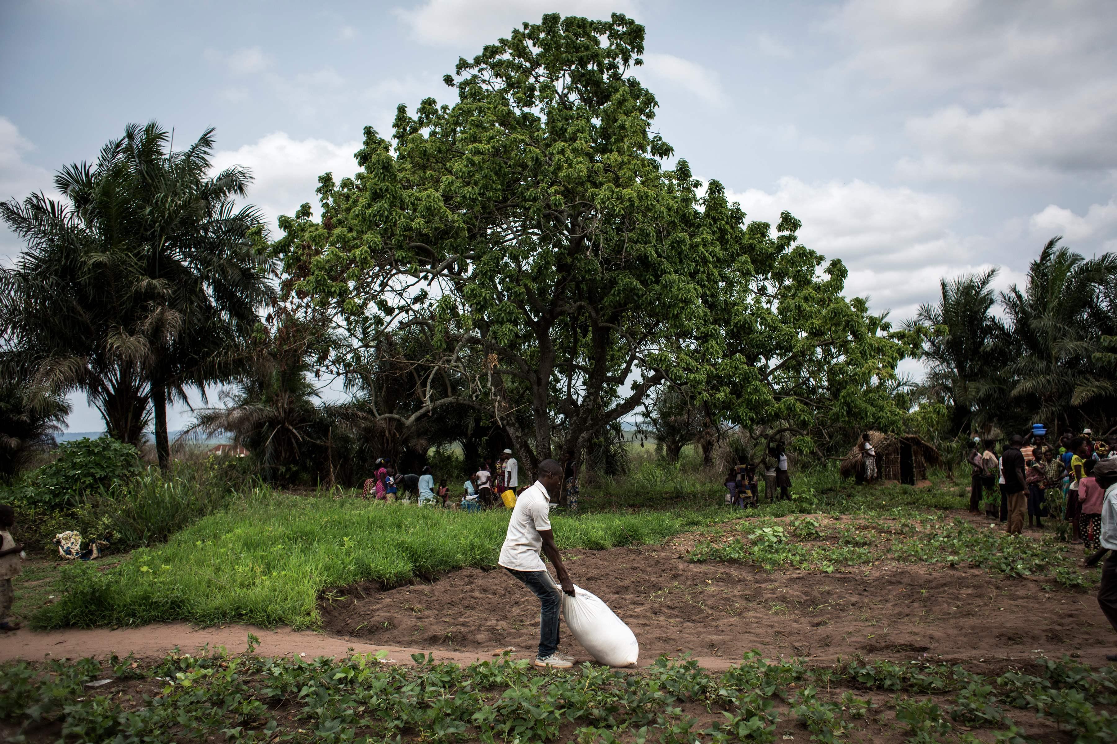 World Food Programme warnt vor Hungersnot im Kongo